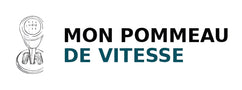 Pommeau de vitesse