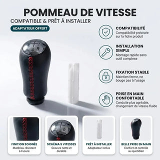 Compatibilité et points forts du pommeau de vitesse Dacia Dokker